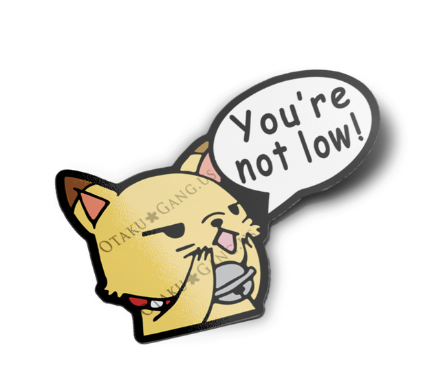 You're Not Low!