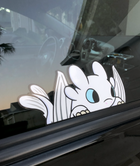 Light Fury Peek